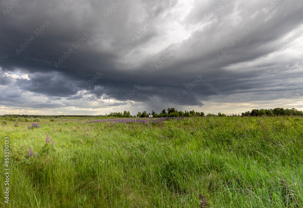 A dramatic, low-lying storm cloud casts a shadow over a field of wildflowers and tall grasses in a springtime meadow. A dramatic, low-lying storm cloud casts a shadow over a field of wildflowers and tall grasses in a springtime meadow.
