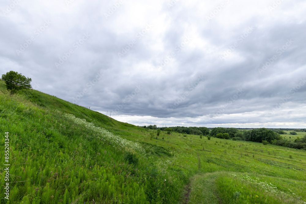 A field of grass with a cloudy sky in the background A field of grass with a cloudy sky in the background