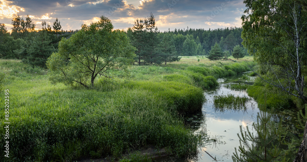 Obraz premium A serene river flows through a verdant meadow surrounded by tall trees, illuminated by the warm glow of the setting sun.
