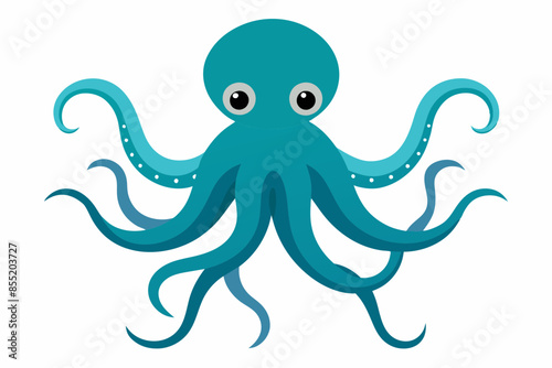 octopus vector illustration white background