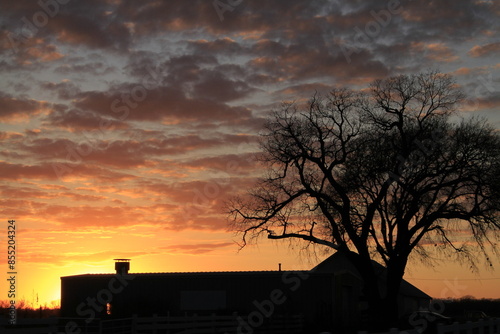 Sunset with clouds and tree silhouettes in the country