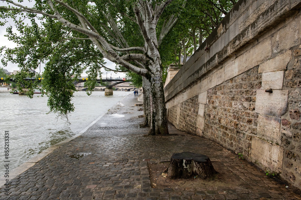 Fototapeta premium les quais de Seine dans le centre de Paris un jour de mauvais temps en France