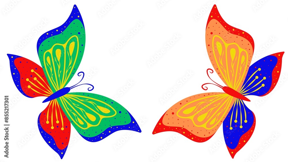Fototapeta premium Butterfly 2