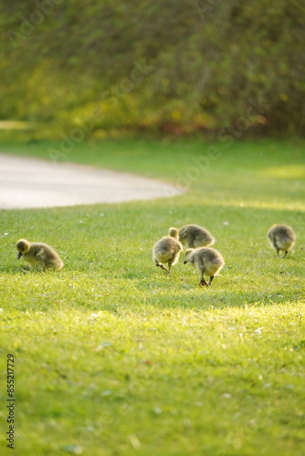 A picture clicked in Denmark