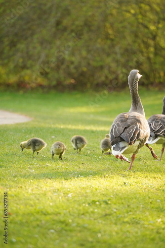 A picture clicked in Denmark