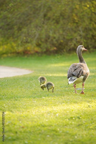 A picture clicked in Denmark