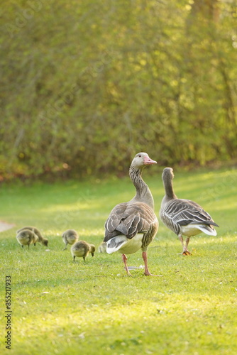 A picture clicked in Denmark