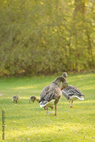A picture clicked in Denmark