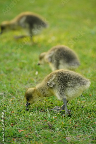 A picture clicked in Denmark