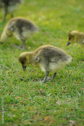 A picture clicked in Denmark