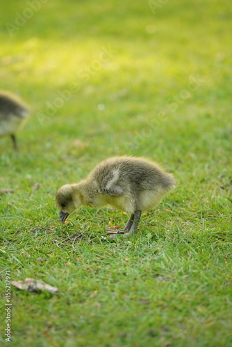 A picture clicked in Denmark