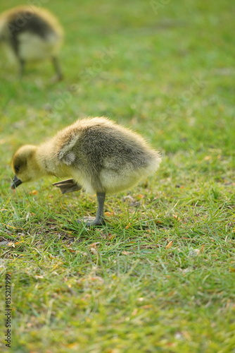 A picture clicked in Denmark