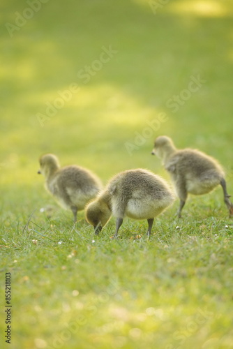 A picture clicked in Denmark