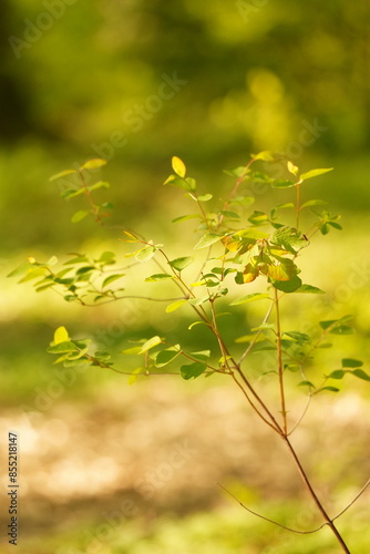 A picture clicked in Denmark