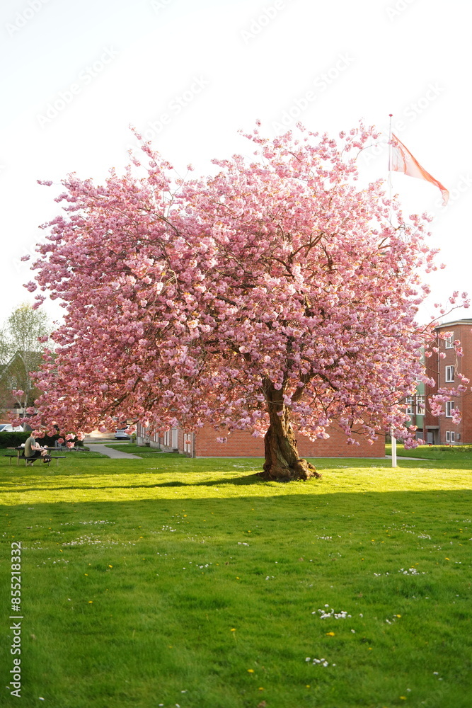 Naklejka premium A picture clicked in Denmark