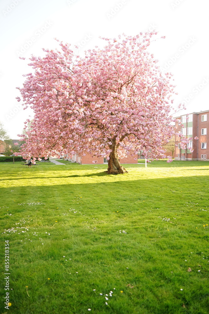 Obraz premium A picture clicked in Denmark