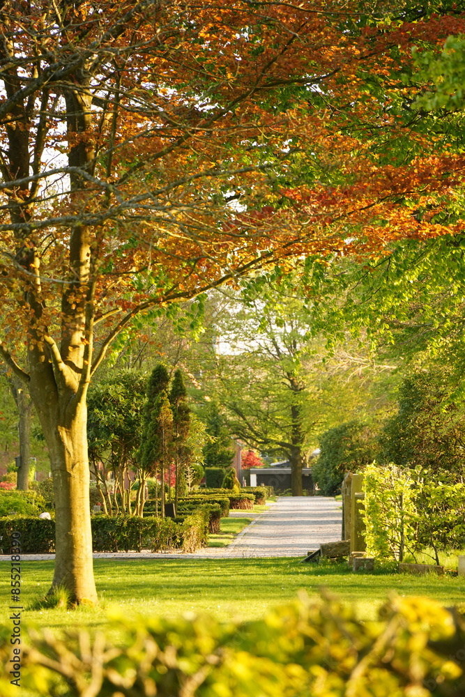 Naklejka premium A picture clicked in Denmark