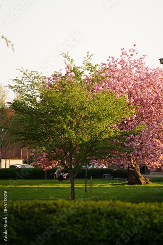 A picture clicked in Denmark