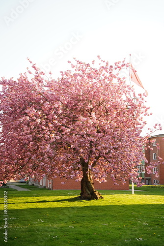 A picture clicked in Denmark