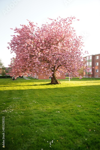 A picture clicked in Denmark