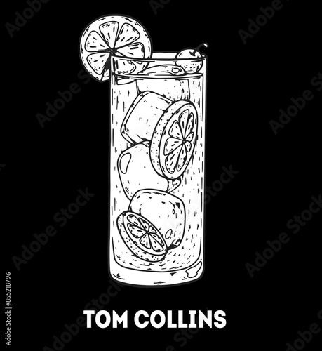 Tom Collins cocktail illustration. Hand drawn sketch. Vector illustration. Isolated object.