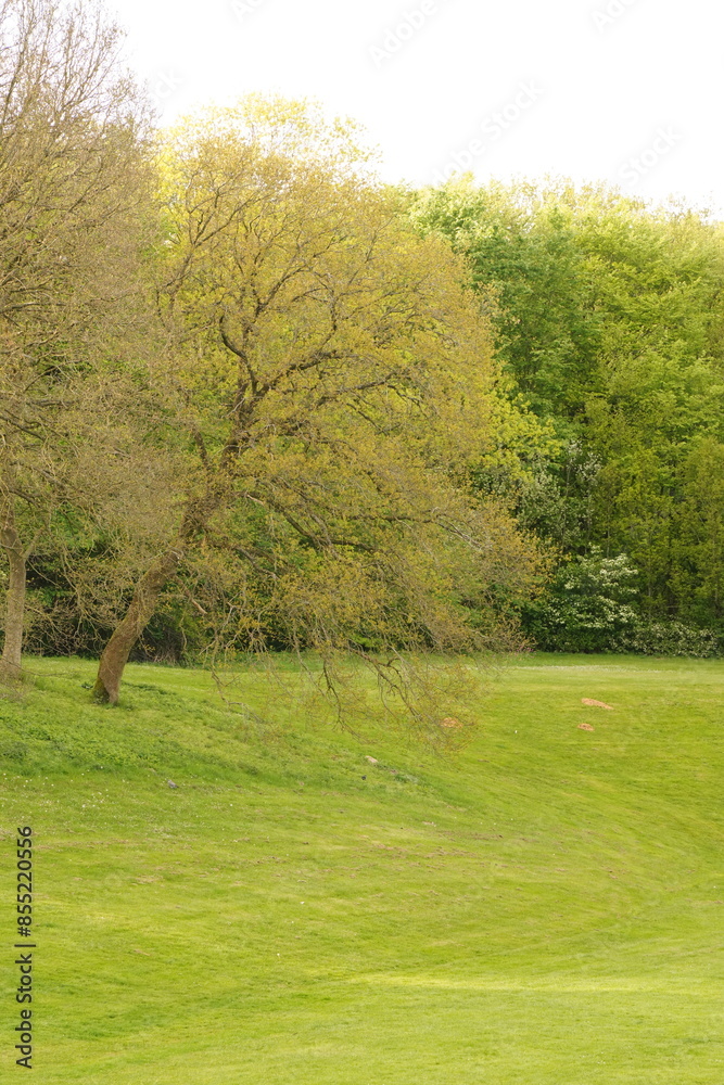 Obraz premium A picture clicked in Denmark