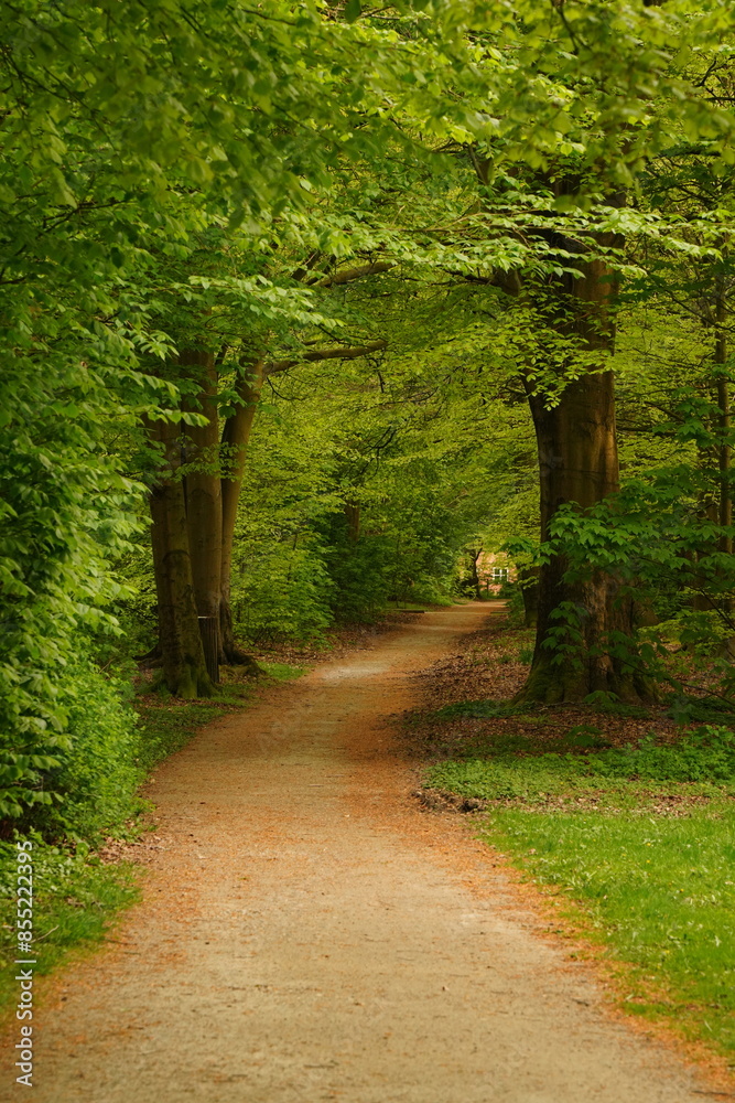 Obraz premium A picture clicked in Denmark