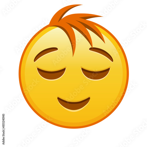 Slightly smiling face Large size of yellow emoji smile with hair