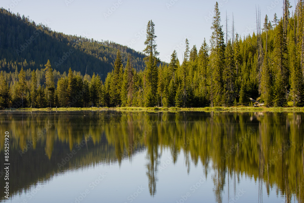 Obraz premium reflection in the lake