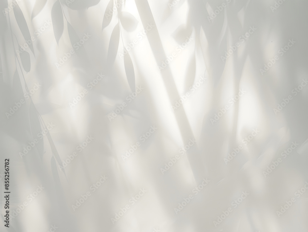 Obraz premium leaf shadows