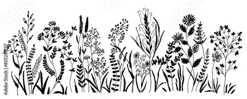 Hand drawn  set of simple decorative floral and garden elements. Black icons such as flowers, leaves, lines isolated on white background.
