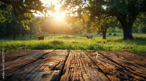 Cows Standing on Top of Lush Green Field