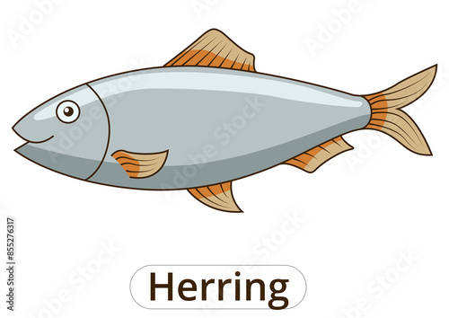 Fototapeta Naklejka Na Ścianę i Meble -  Herring underwater animal cartoon PNG illustration for children
