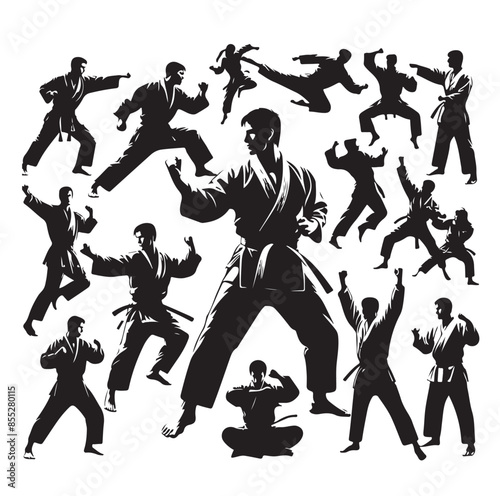 Set of Martial Arts Silhouette Vector Design