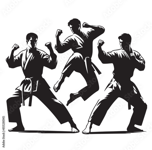 Set of Martial Arts Silhouette Vector Design