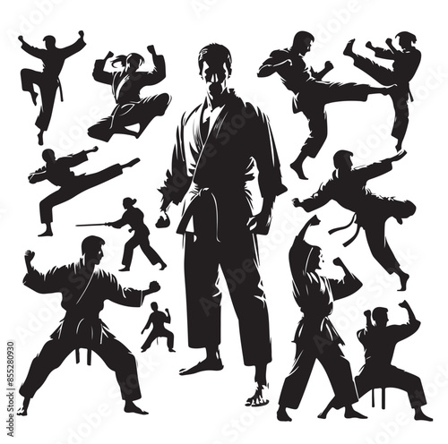 Set of Martial Arts Silhouette Vector Design