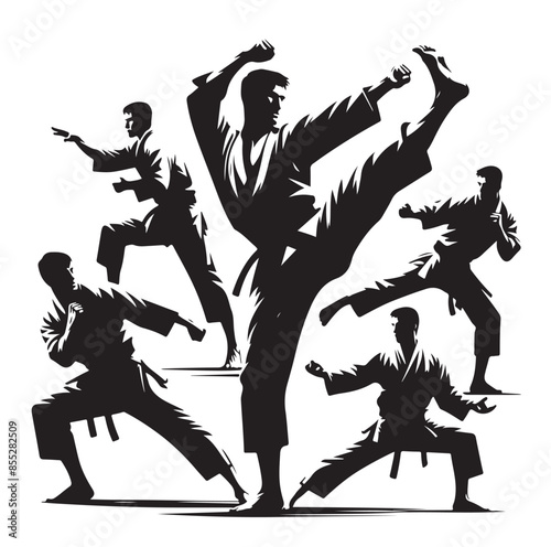 Set of Martial Arts Silhouette Vector Design