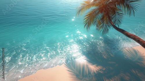 Aerial View of Palm Tree on Beach