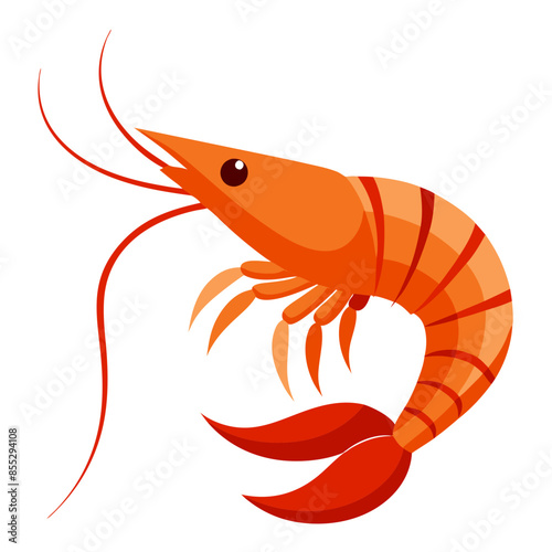 shrimp vector illustration with detailed antennae and legs.