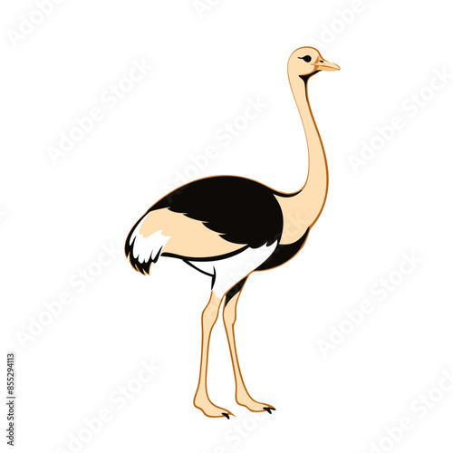  striking illustration of an ostrich, highlighting its long neck, legs, and characteristic features. photo