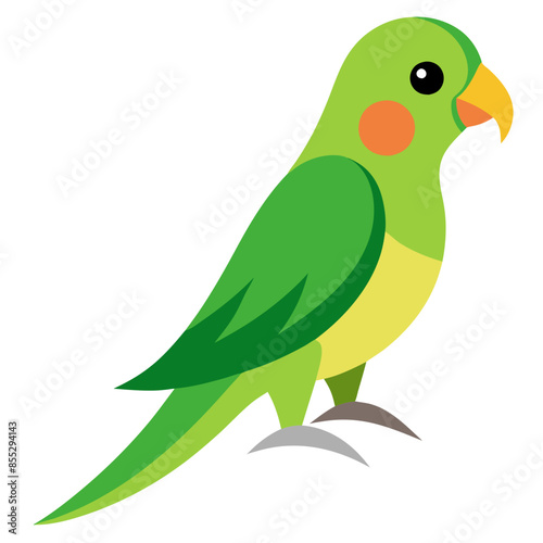 bright vector illustration of a green parakeet  photo