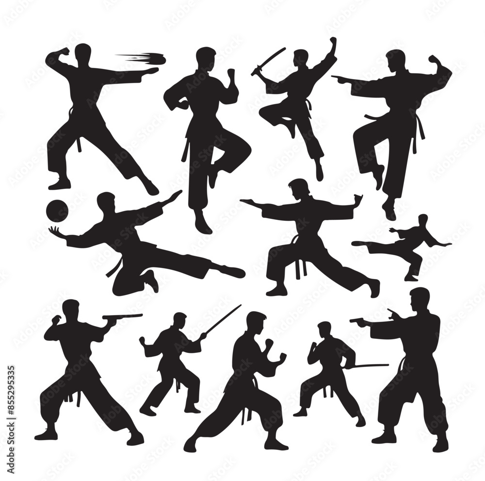 Silhouette of people isolated on white background. Wushu, kung fu, Taekwondo, Aikido. Sports positions. Design elements and icons. Vector illustration. Set Silhouette of people isolated on white background. Wushu, kung fu, Taekwondo, Aikido. Sports positions. Design elements and icons. Vector illustration. Set