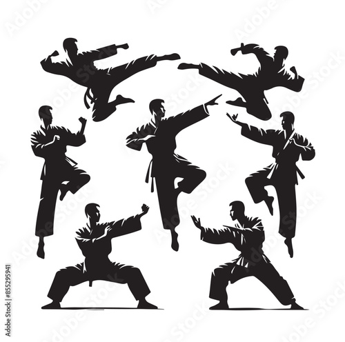 Silhouette of people isolated on white background. Wushu, kung fu, Taekwondo, Aikido. Sports positions. Design elements and icons. Vector illustration. Set