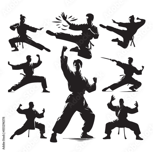Silhouette of people isolated on white background. Wushu, kung fu, Taekwondo, Aikido. Sports positions. Design elements and icons. Vector illustration. Set