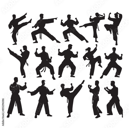 Silhouette of people isolated on white background. Wushu, kung fu, Taekwondo, Aikido. Sports positions. Design elements and icons. Vector illustration. Set