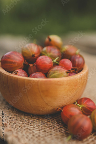 Ripe gooseberry in a wooden plate on nature