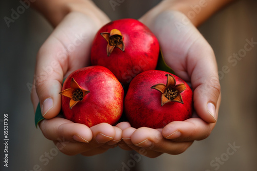 In the image, there is a closeup of hands holding three fresh pomegranates against a simple background photo