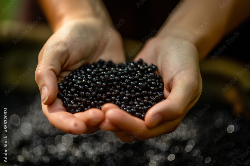 A farmer displays freshly harvested black caviar with pride, exemplifying his commitment and labor in agriculture. Ideal for showcasing sustainable farming practices and premium food products. A farmer displays freshly harvested black caviar with pride, exemplifying his commitment and labor in agriculture. Ideal for showcasing sustainable farming practices and premium food products.