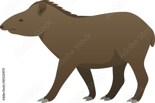 Color vector illustration of tapir side view. Wild animal isolated on white background. Large, herbivorous mammal. Jungle, tropical, exotic wildlife.