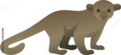 Color vector illustration of kinkajou. Wild animal isolated on white background. Tropical rainforest mammal and exotic pet.